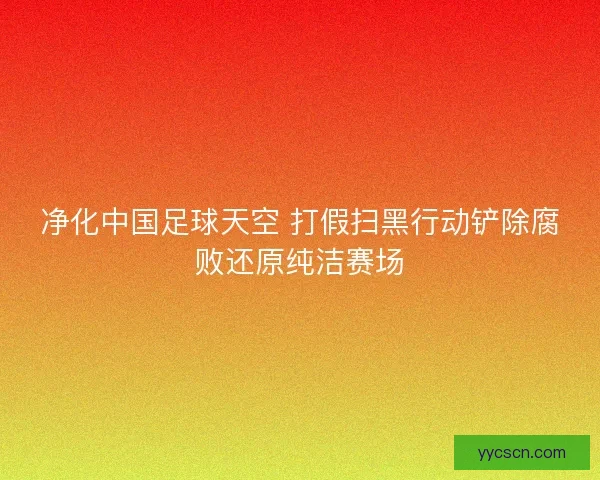 净化中国足球天空 打假扫黑行动铲除腐败还原纯洁赛场